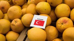 Турецкие овощеводы в отчаянном положении