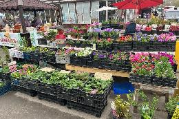 Приглашаем на томскую ярмарку «Все для сада и огорода» 