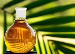 Россия сократила импорт пальмового масла почти на 20 процентов