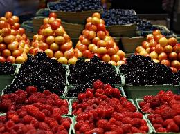 Минсельхоз считает необходимым увеличить производства плодов и ягод на 18%