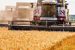 Минсельхоз России: убрано 34 млн тонн зерна
