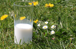 Индекс себестоимости молока в апреле возобновил рост l