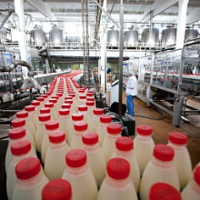 Объём реализации молока в сельхозорганизациях вырос на 4,8%
