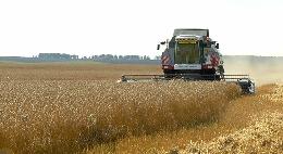 Прирост по уборке урожая в Томской области за прошедшую неделю составил 20% Прирост по уборке урожая в Томской области за прошедшую неделю составил 20%