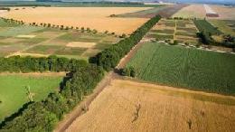 Минсельхоз будет контролировать использование сельскохозяйственных земель