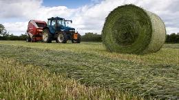 Производство комбикормов в России увеличилось на 4% Производство комбикормов в России увеличилось на 4%