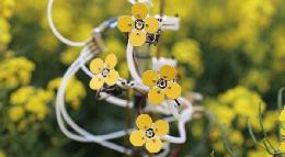 3D-печатные цветы предлагают использовать для спасения пчел