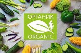 В России собрано порядка 2,5 млн тонн овощей в организованном секторе