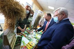 Губернатор поручил выращивать рассаду и саженцы в промышленных масштабах