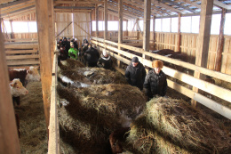 Центр компетенций провел в Первомайском районе мастер-класс для начинающих фермеров