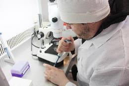 В 2021 году охват искусственно осемененного скота в регионе составил 34%