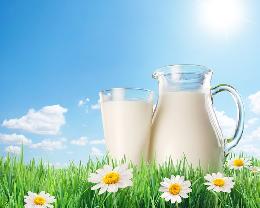 Минсельхоз: средневзвешенная цена на сырое молоко составила 21,34 руб./кг