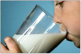 ФАО агитирует молочные компании производить школьное молоко