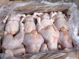 ФАС проверит обоснованность ценообразования на мясо птицы, корма и ветпрепараты