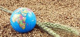Экспорт российской продукции АПК в 2019 г. достиг $25 млрд Экспорт российской продукции АПК в 2019 г. достиг $25 млрд