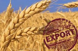РЗС: в текущем сезоне Россия экспортировала более 40 млн тонн зерна