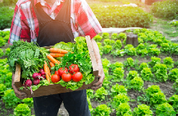 Система для обозначения органической продукции заработает со следующего года Система для обозначения органической продукции заработает со следующего года
