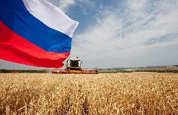 В РФ готовы ограничить экспорт продовольствия для стабильности рынка В РФ готовы ограничить экспорт продовольствия для стабильности рынка