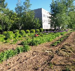 Педагогов образовательных учреждений обучают садоводству на пришкольных участках Педагогов образовательных учреждений обучают садоводству на пришкольных участках
