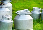 Как увеличить продажи молока фермерам-частникам. Креативный ход. 