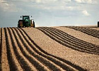 Объем торгов по продаже и аренде земли через ЭТП за 2 года вырос на 50% Объем торгов по продаже и аренде земли через ЭТП за 2 года вырос на 50%