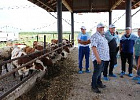Делегация Республики Хакасии познакомилась с молочными сельхозпредприятиями Томской области