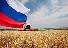 РФ к 18 июля увеличила экспорт продукции АПК на 16,8%, до $15,9 млрд