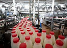 Экспорт российской молочной продукции к 2030 году может превысить $730 млн Экспорт российской молочной продукции к 2030 году может превысить $730 млн
