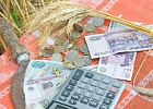 Объем инвестиций в сельхозпроизводство региона в 2016 году увеличился на 11,3 процента Объем инвестиций в сельхозпроизводство региона в 2016 году увеличился на 11,3 процента