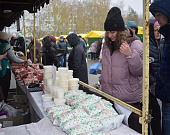 DSC_0474.JPG
