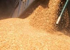 Правительство утвердило новый механизм квотирования экспорта зерна Правительство утвердило новый механизм квотирования экспорта зерна
