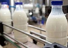 Основными драйверами развития экспорта должны стать сыры, СЦМ и сухая сыворотка Основными драйверами развития экспорта должны стать сыры, СЦМ и сухая сыворотка