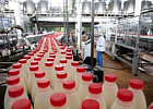 Объём реализации молока в сельхозорганизациях вырос на 4,8%