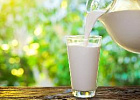 Минсельхоз России: объем реализации молока в сельхозорганизациях вырос на 4,9%