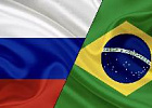 Россия и Бразилия обсудят начало поставок птицы