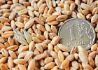 Субсидии на перевозку зерна будут продлены до конца года