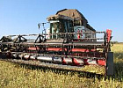Томские аграрии выполнили план уборки зерновых почти на 74 процента Томские аграрии выполнили план уборки зерновых почти на 74 процента
