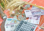 Госдума выступает за наращивание господдержки в сфере АПК Госдума выступает за наращивание господдержки в сфере АПК