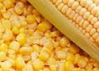 В Приморском крае в 2026 году увеличат посевные площади под кукурузой