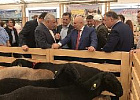 Джамбулат Хатуов: мы гордимся достижениями селекционно-племенной работы по овцеводству и козоводству