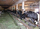 Специалисты Аграрного центра Томской области работают в северных районах 