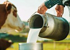 Производство молока в России в январе - октябре выросло на 3,1%l
