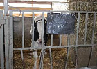 Начал работать Центр компетенций в сфере сельхозкооперации и поддержки фермеров