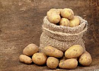 Отраслевой союз попросил Минсельхоз поддержать экспорт раннего картофеля Отраслевой союз попросил Минсельхоз поддержать экспорт раннего картофеля