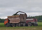 Руководители аграрного сектора региона провели мониторинг кормозаготовительной кампании в Зырянском районе Руководители аграрного сектора региона провели мониторинг кормозаготовительной кампании в Зырянском районе