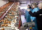 В Томской области пройдет День открытых дверей проекта «Профессионалитет»