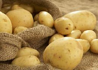 В России выросли продажи картофеля и других корнеплодов