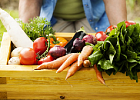 80% органической продукции в России - импортная 80% органической продукции в России - импортная