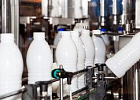 Производители молочной продукции ждут ясности в вопросах введения поэкземплярной прослеживаемости 