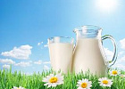 Минсельхоз: средневзвешенная цена на сырое молоко составила 21,34 руб./кг